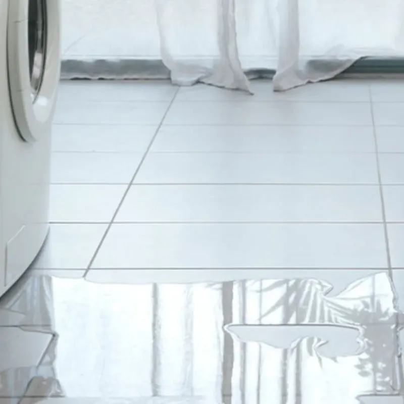 Appliance Leak Cleanup in Juneau, WI