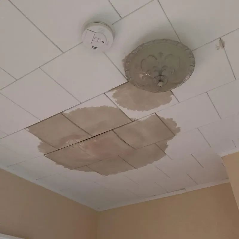 Ceiling Water Damage Repair in Juneau, WI